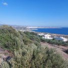 Ag. Fotia bei Sitia Ostkreta, Ag. Fotia: Baugrundstück nahe Sitia zu verkaufen Grundstück kaufen